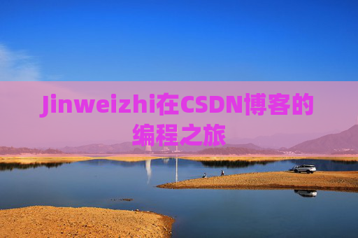Jinweizhi在CSDN博客的编程之旅